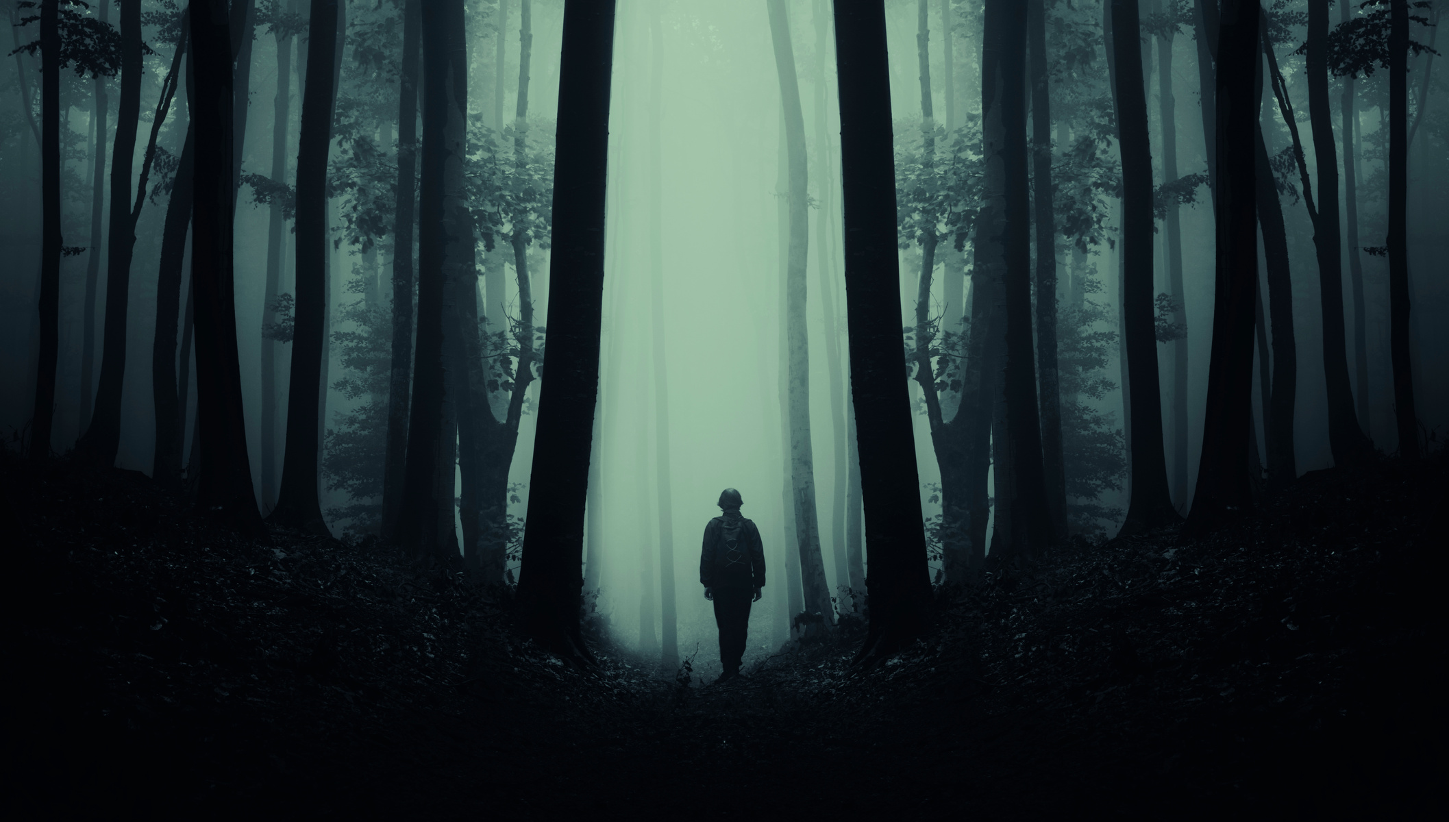 A Lone Man in a Dark Forest